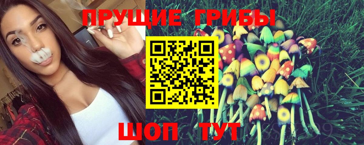 Галлюциногенные грибы мицелий Чехов