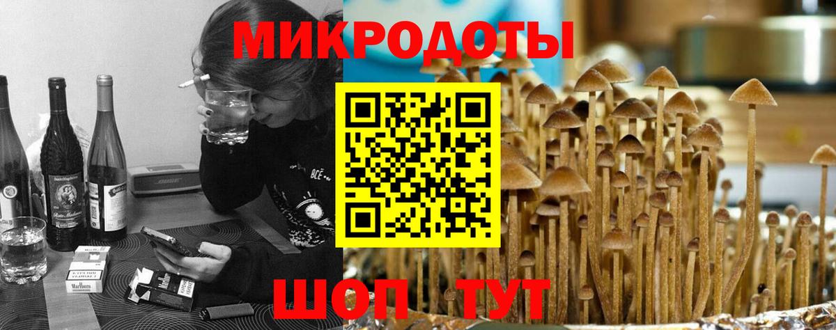 Чехов  Галлюциногенные грибы прущие грибы  Вход с VPN 