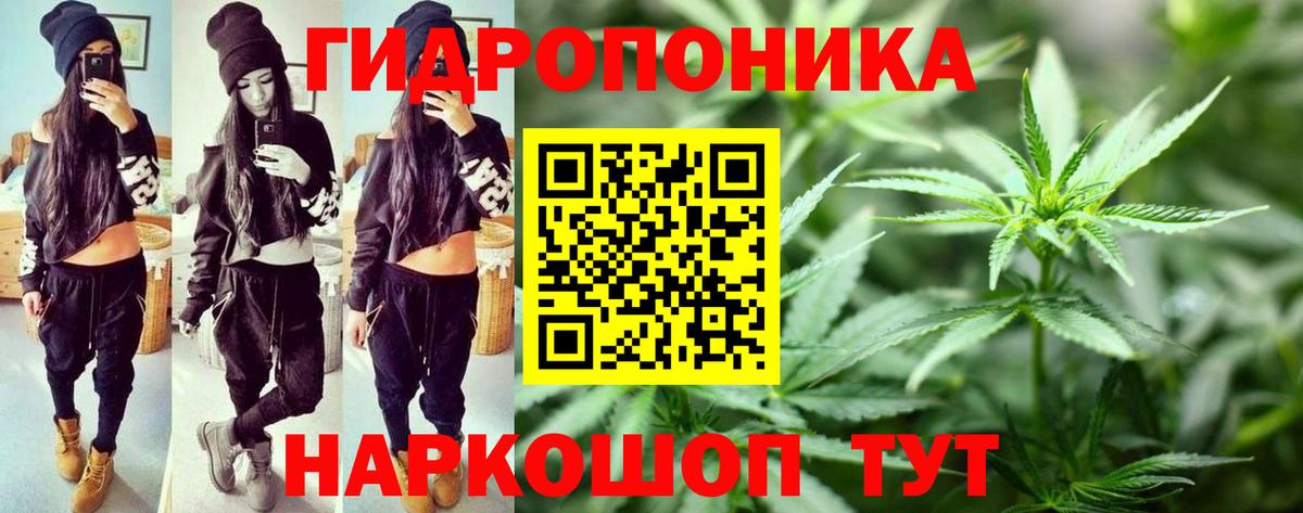 Каннабис AK-47 Чехов
